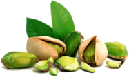Pistachio and Leaves