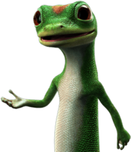 Geico Ghecko Character Explaining