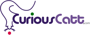 CuriousCatt Boutique