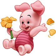 Baby Piglet