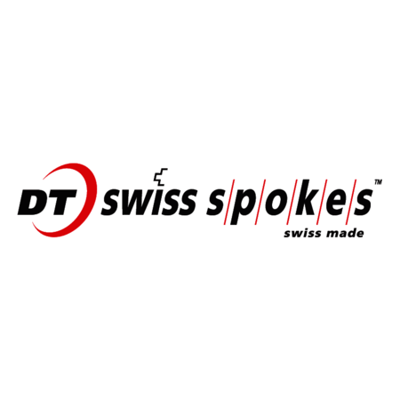 DT Swiss Spokes