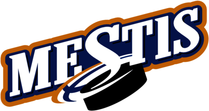 Mestis