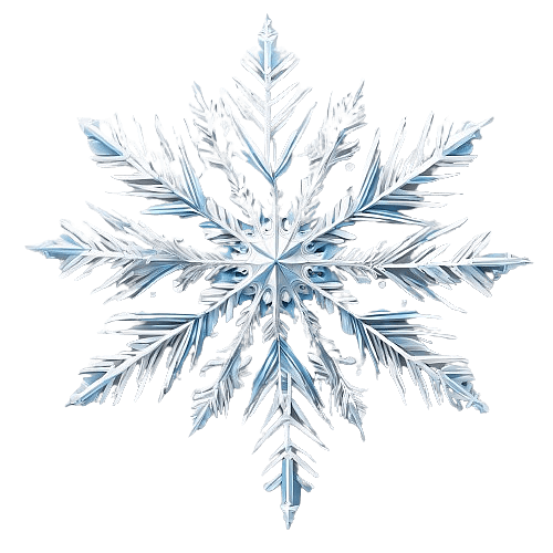 Dynamic Snowflake
