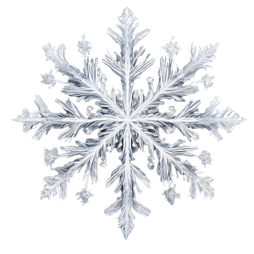 Starry Snowflake
