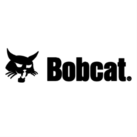 Bobcat