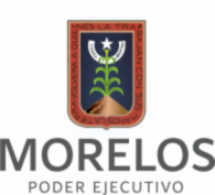 Vision Morelos