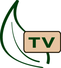 Green Lounge TV, Inc.
