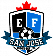 Liga Sanluiseña De Fútbol San Luis