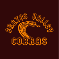 Brazos Valley Cobras