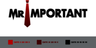 Mr. Important