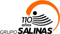 Grupo Salinas