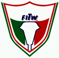 Federazione Nazionale Stampa Italiana