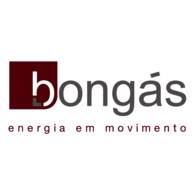 Bongas