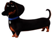 The Secret Life Of Pets Buddy