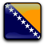 Bosnia and Herzegovina Flag Icon