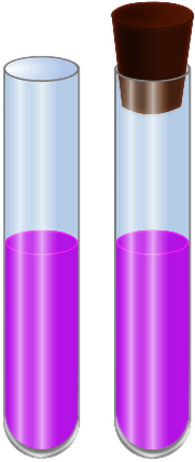 Two Glass Test Tubes