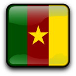 Cameroon Flag Icon