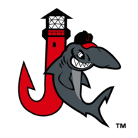 Jupiter Hammerheads
