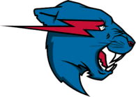 Mr Beast 
