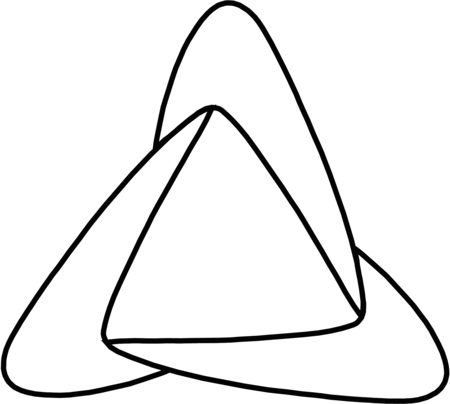 Rickson Gracie Jiu Jitsu