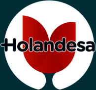 Holandesa