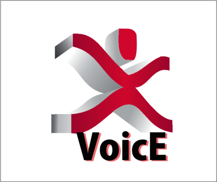 voice
