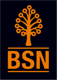 bank simpanan nasional (BSN)