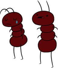 Adventure Time Ants
