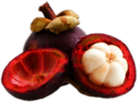 Opened Mangosteen