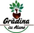 Gradina cu Alune