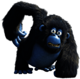 Miguel the Gorilla Scratching Himself