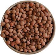 Bowl Of Brown Lentils
