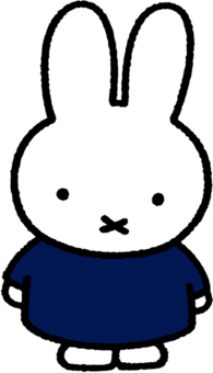 Miffy Blue Dress