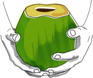 Harmless Harvest Coconut