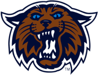 Villanova Wildcats Mascot head 