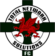 TNS Llansantffraid FC