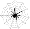 Spider in the Middle of a Web