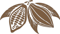 Cacao Chocolate Plant