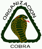 Jim Morrison The Doors