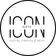 Icon Agency