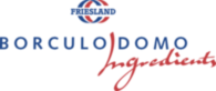Borculo Domo