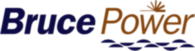 Bruce Power 21650