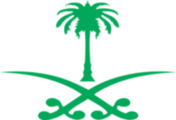 Saudi Arabia State Vector Logo2