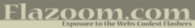 Flazoom com