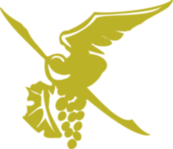 Garling Collection Moldova