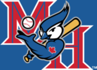 Medicine Hat Blue Jays