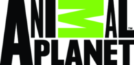 Animal Planet