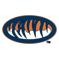 Auburn Tigers
