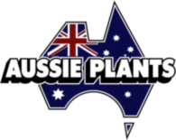 Aussie Plants