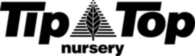 Tip Top